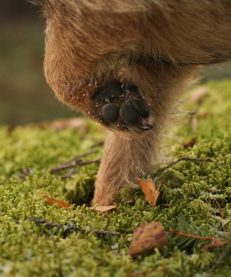 cropped3_a805f81c-f657-42bf-8193-defb853457c7.jpg