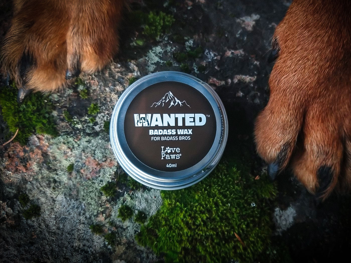 wanted_paws_bea5a0ca-e7cd-4870-9bad-5d730d3d4e54.jpg